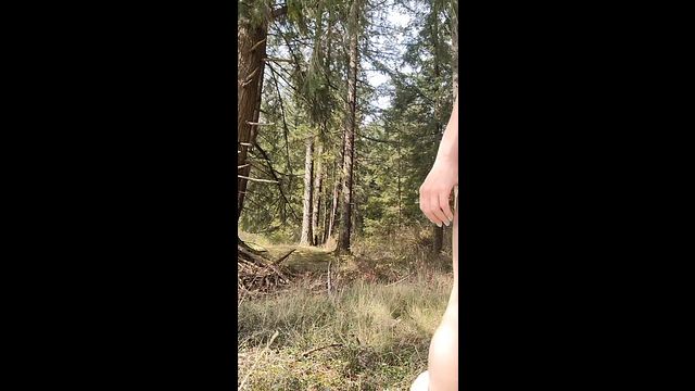 Tiny Shorts Tease: Seductive Adult Content