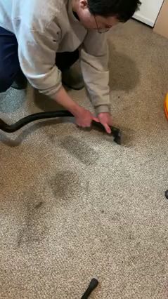 Your Husband Cleans Up After the Cat’s Accident Without You Asking
