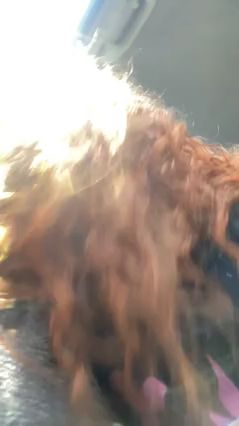 I love sucking a curved big dick