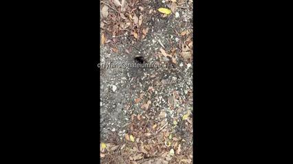 Creampie Quickie in the Forest: Outdoor Adventure