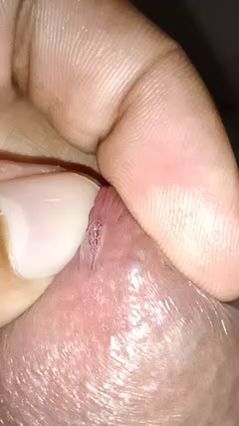 sexyboytommas feeds endless cock worship, pussy screams deepthroat