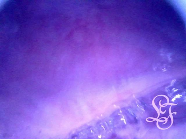 Exploring Intimate Depths: A Sensual Journey