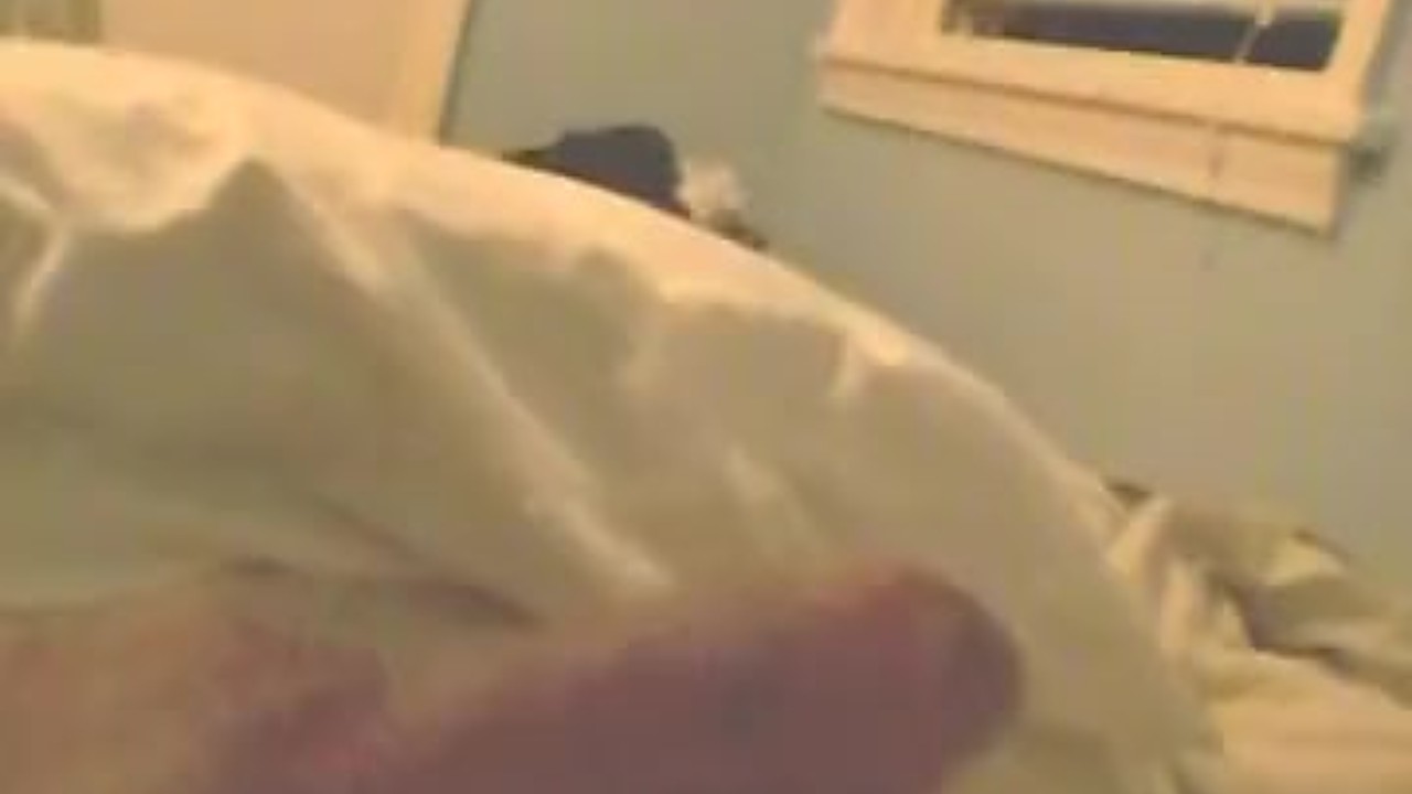 Jayson Horny late night