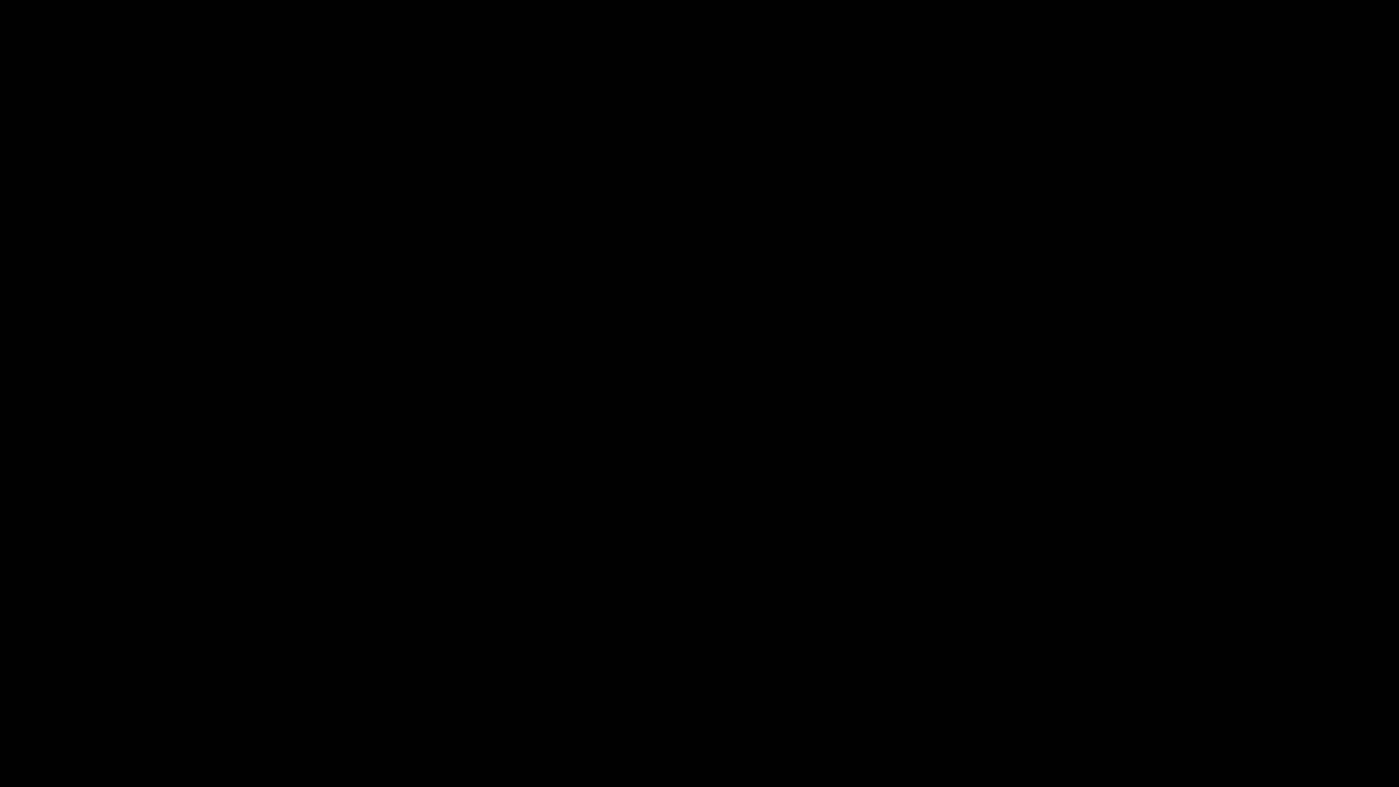 Indian 3