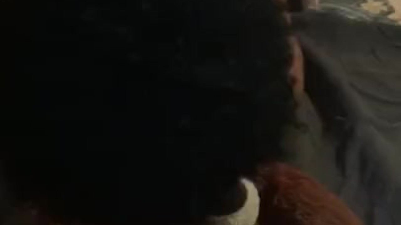 Me and teddy mini sex tape