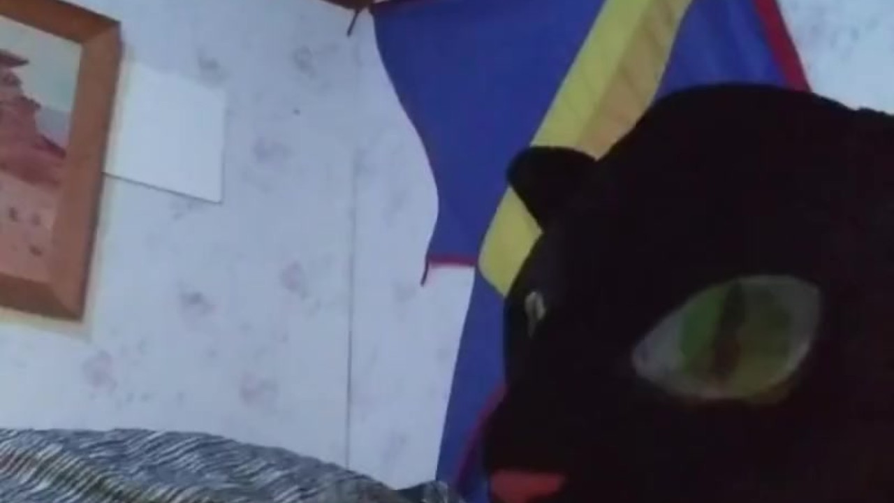 Solo Masturbation with a Masked Twist, Explicit Fun