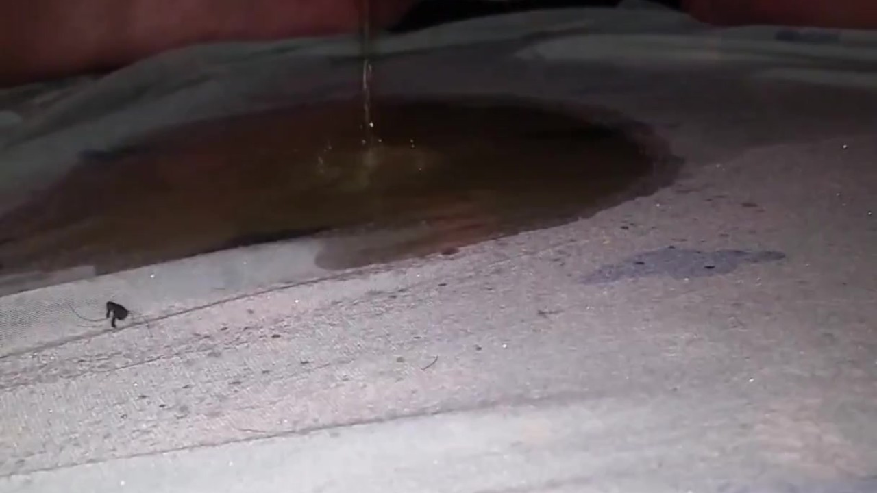 Piss Puddle