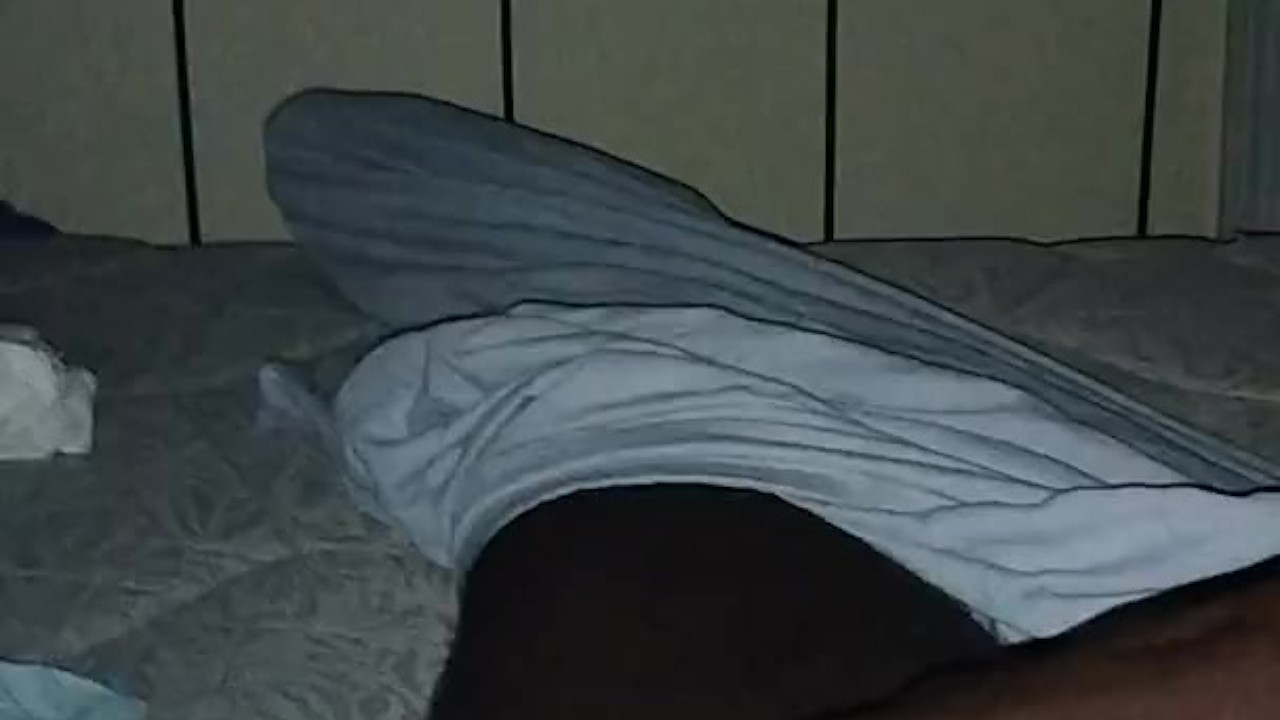L8 nite tease