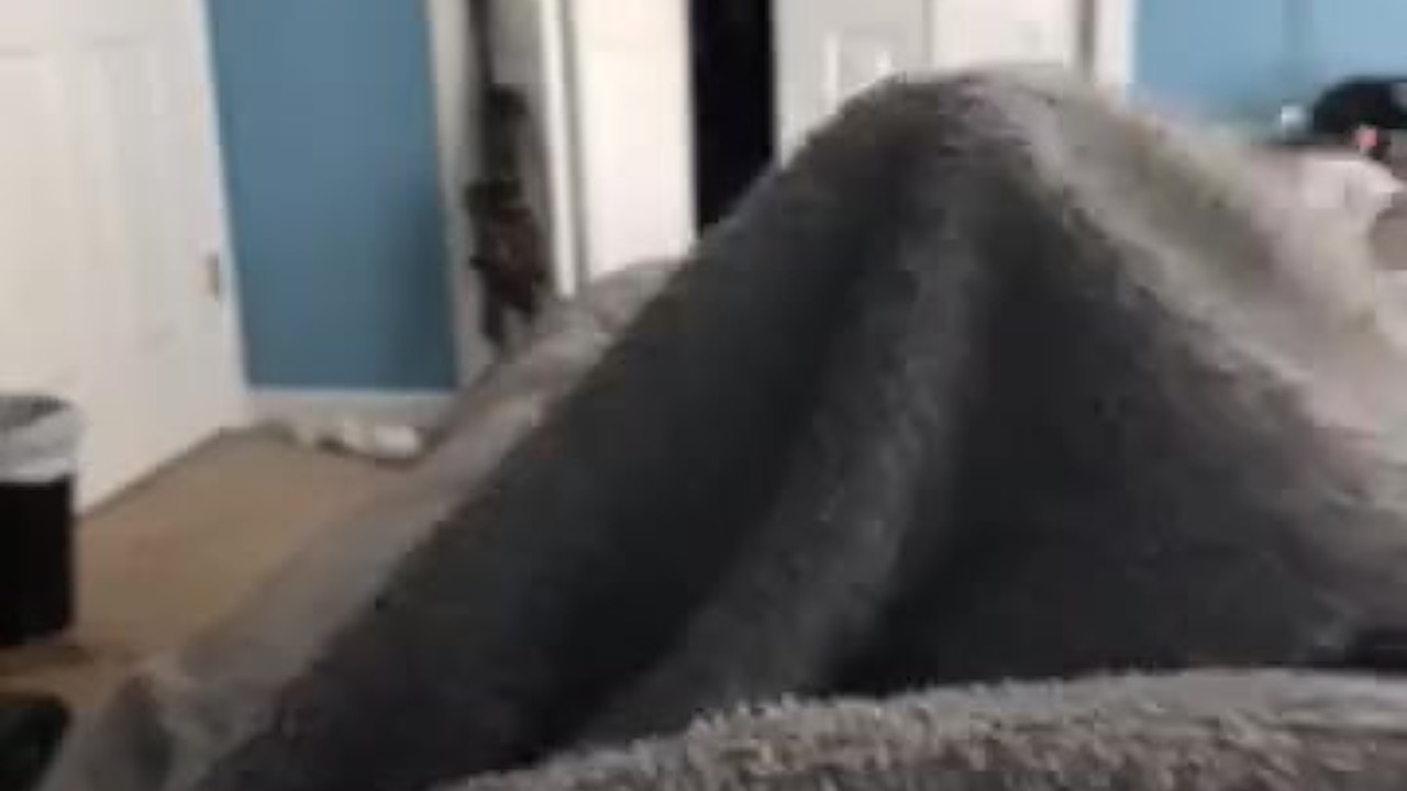 Shorter video sorry not feeling good enjoy my nice hard wang