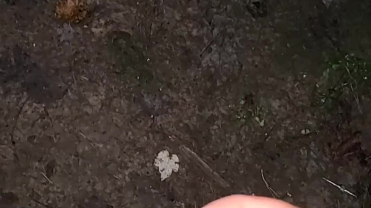 Cum Shot Outside: Quick Public Climax