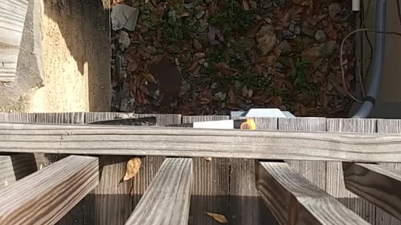 Public Pissing Outdoor Adventure in Broad Daylight