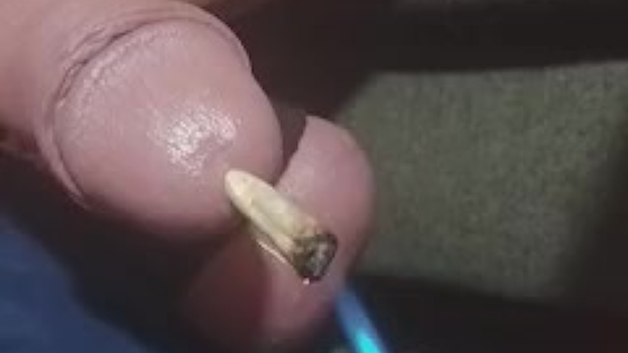 Intense Cock Smoker Action Unfolds