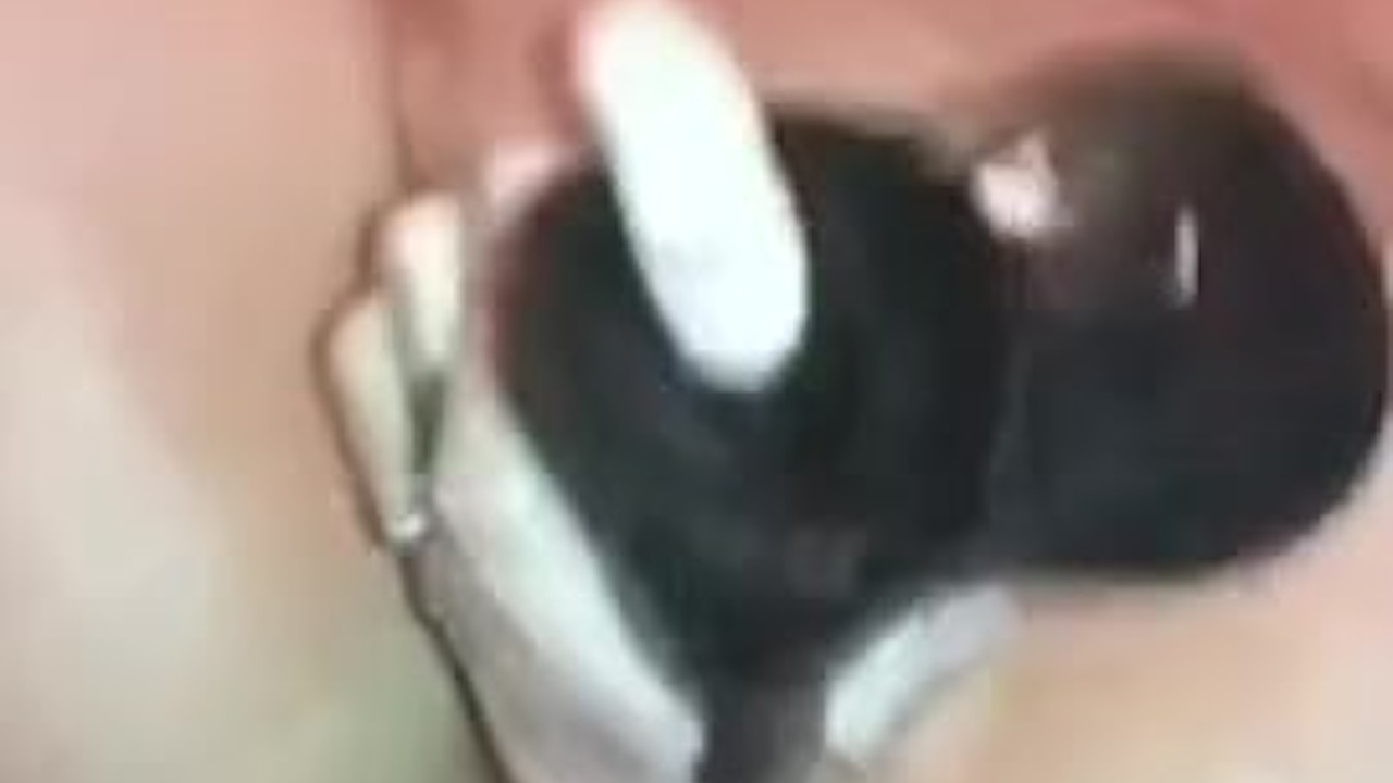 Dildo Play: Exploring Intense Pleasure