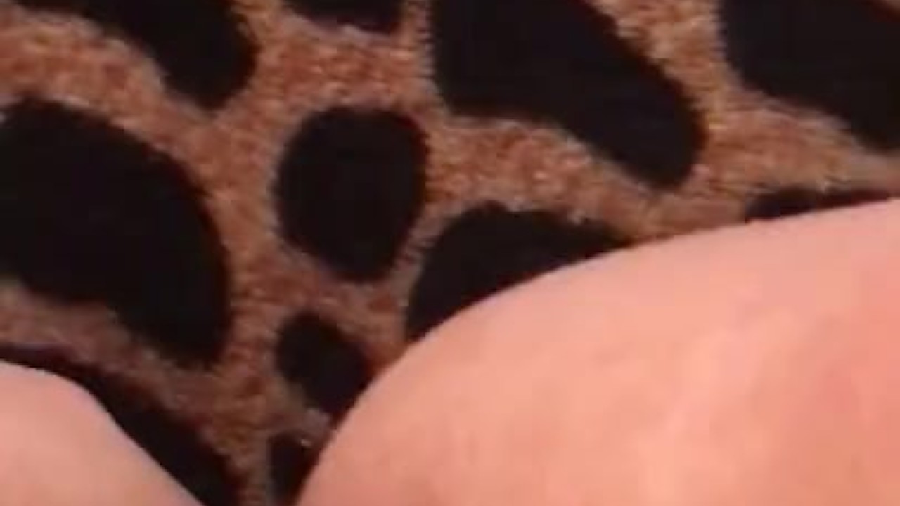 Kegel Balls Exploration: A Sensual Discovery