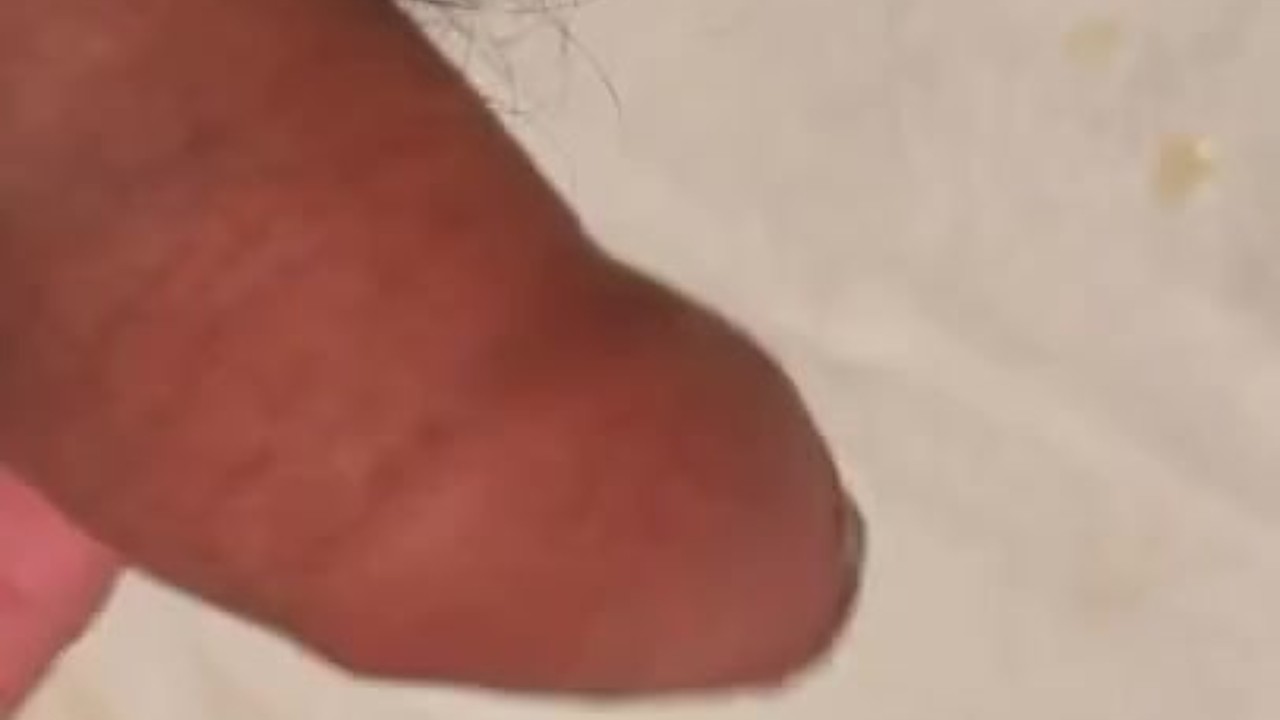 Masturbation Videos: Fast Cumming with Hot Guys