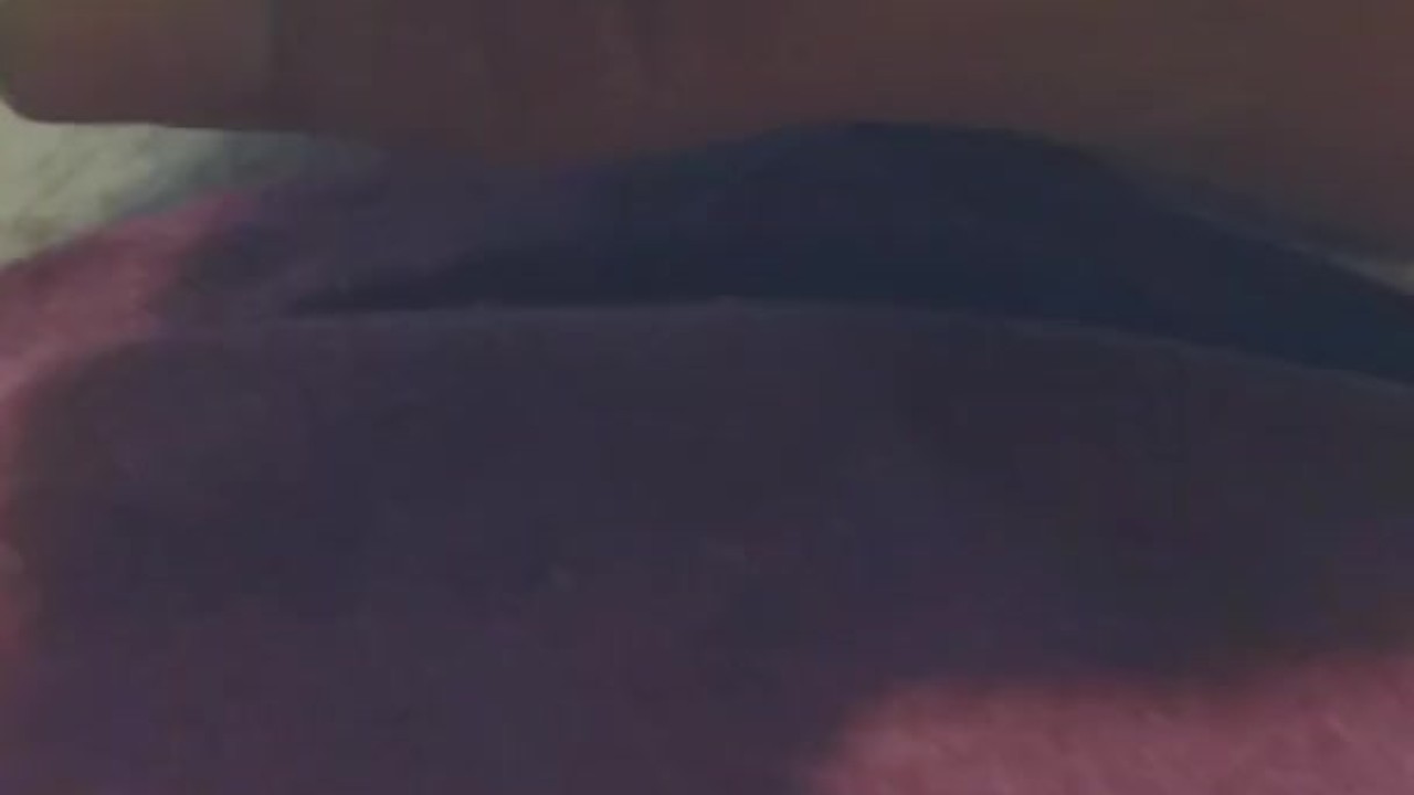 Thick Cock Action in Hardcore Video