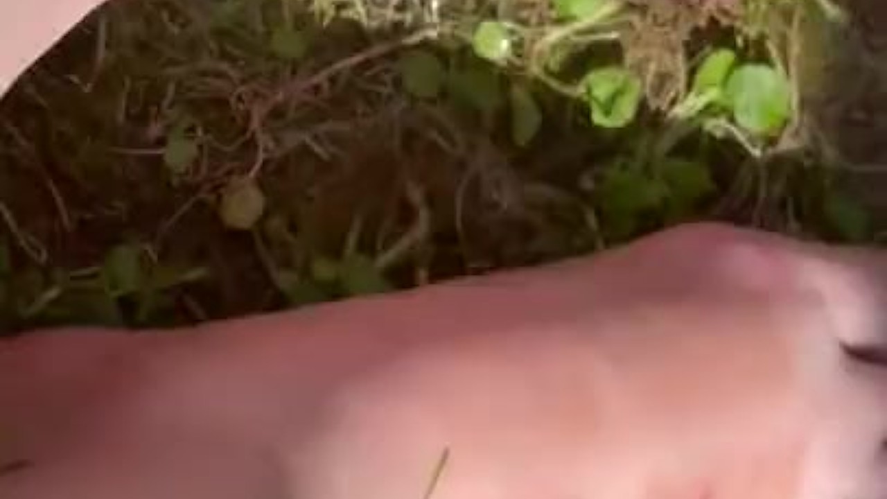 Toe Tickle Fetish Fun with a Seductive Baby